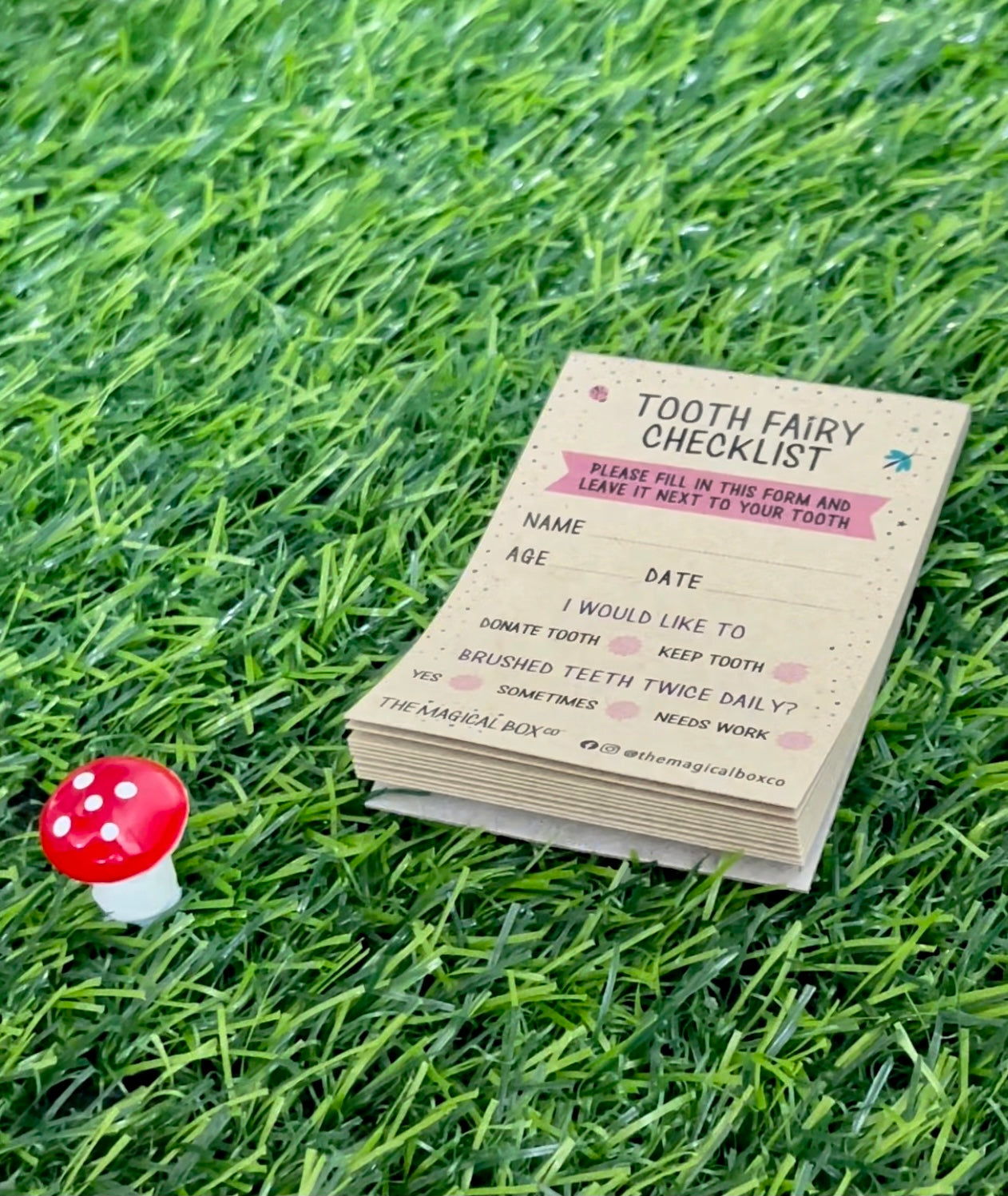 The Tooth Fairy Box
