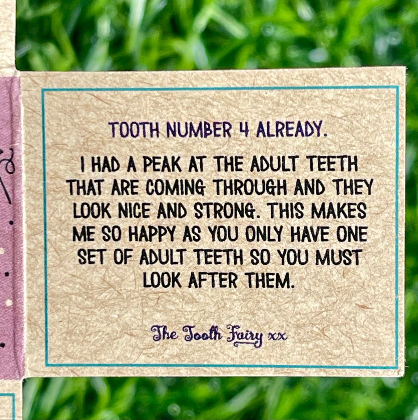 The Tooth Fairy Box