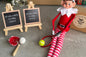 The Elf Pack - 2 Elf Scenes