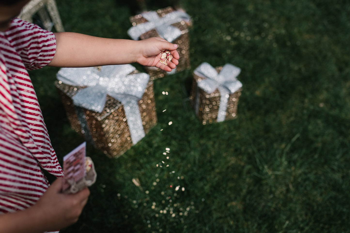 Reindeer Food